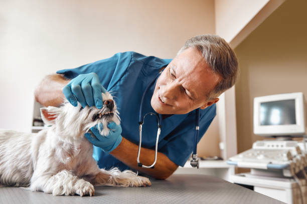 Best Emergency Tooth Extraction in Ringgold, GA
